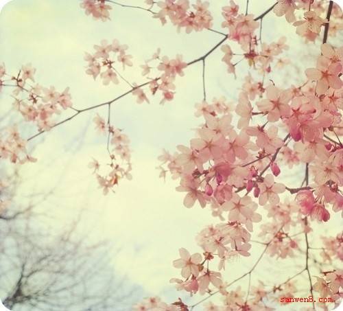 彼时彼秋 此时此秋