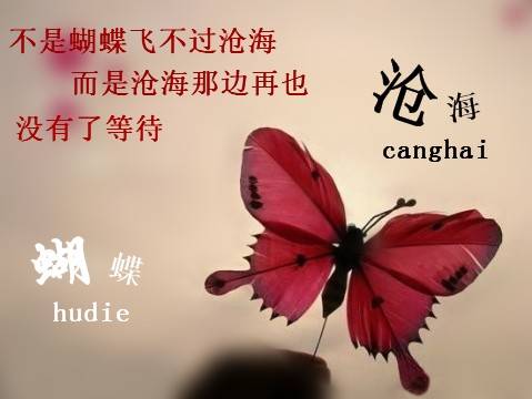 蝴蝶飞不过沧海