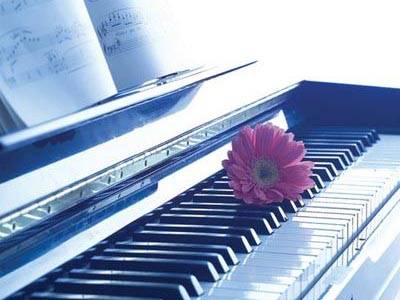 让心在栖息后继续追梦