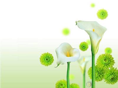 从设定目标开始