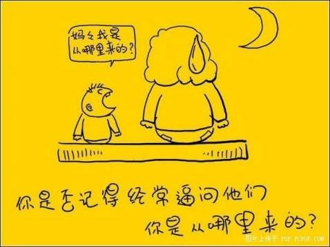 感恩节